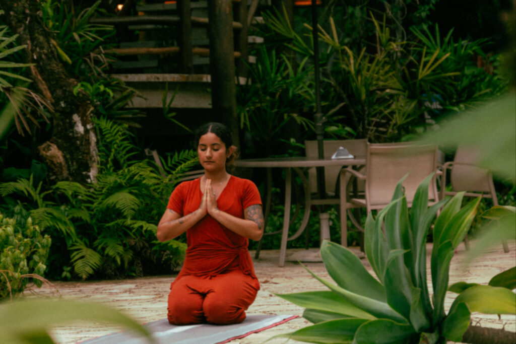 post-imagem-capa-741-zYWDweCIZt